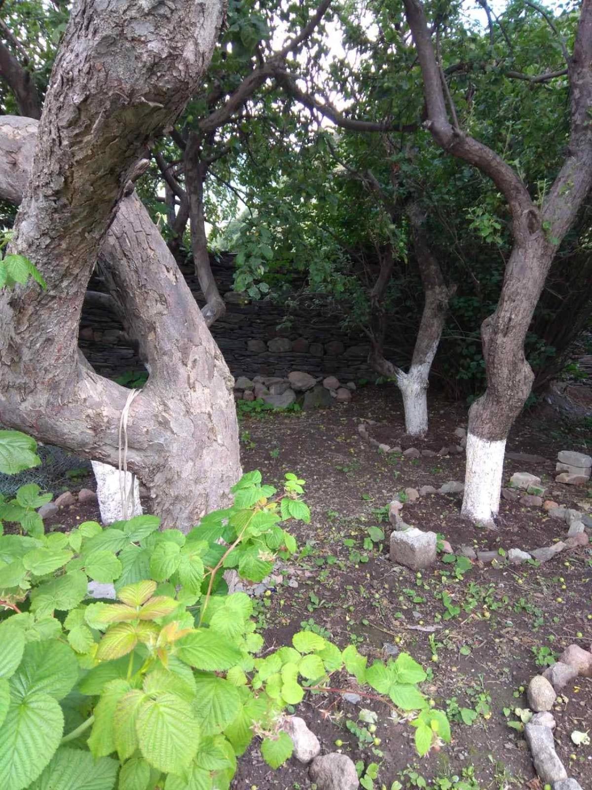 House In Gergeti 호텔 카즈베기 외부 사진